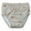 Anthony, Baby Swim Pants, Vehicles/Dove Blue mix